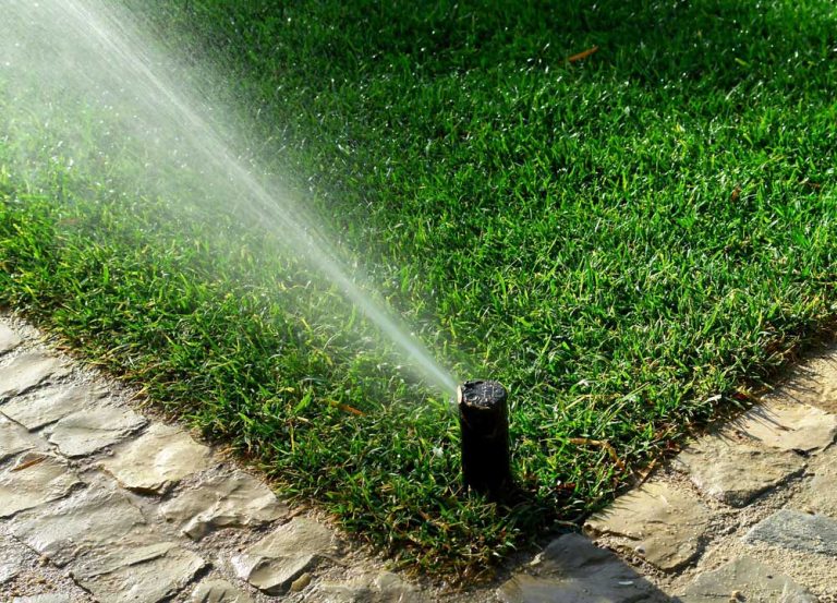 Home Decor and Garden